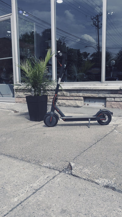 Foldable Electric Scooter 300 Watts