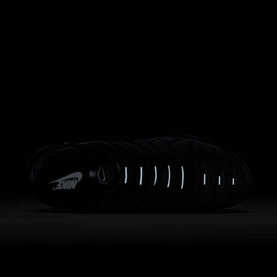 604133-050 Nike Air Max Plus Triple Black Men's