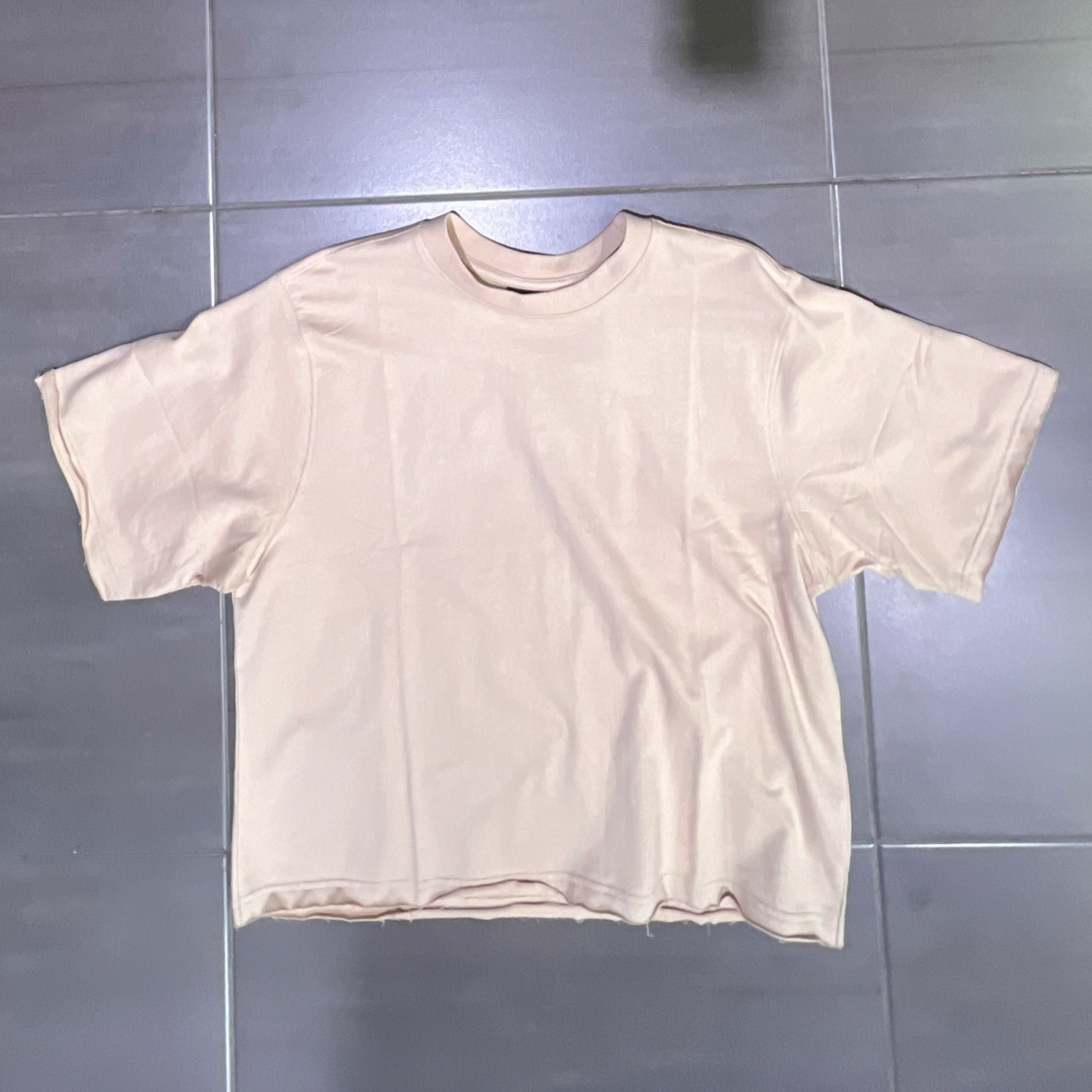 351-161 Rebel Minds Oatmeal Crop Top Box T-Shirt