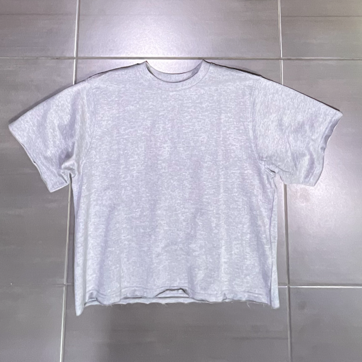 351-161 Rebel Minds Heather Grey Crop Top Box T-Shirt