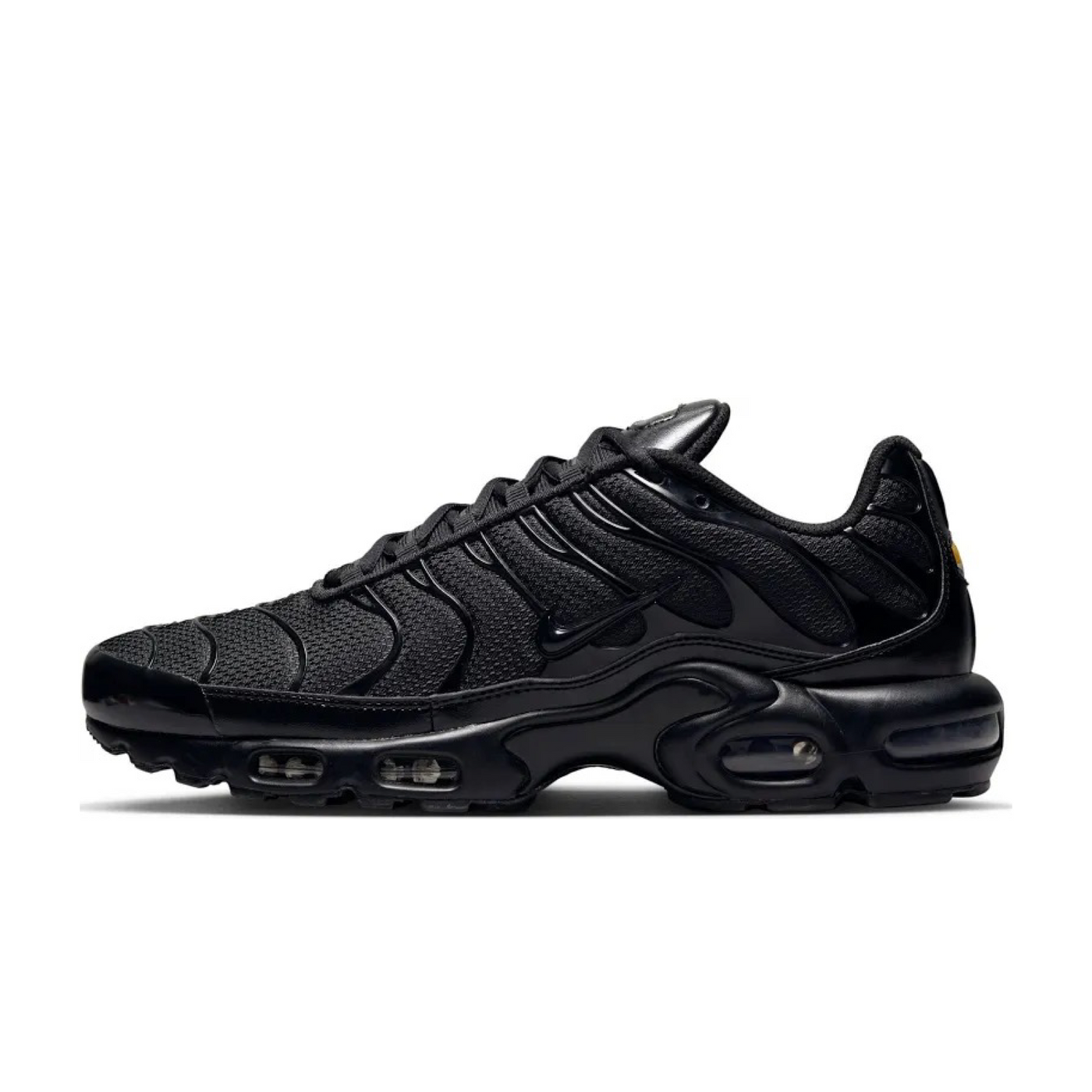 604133-050 Nike Air Max Plus Triple Black Men's