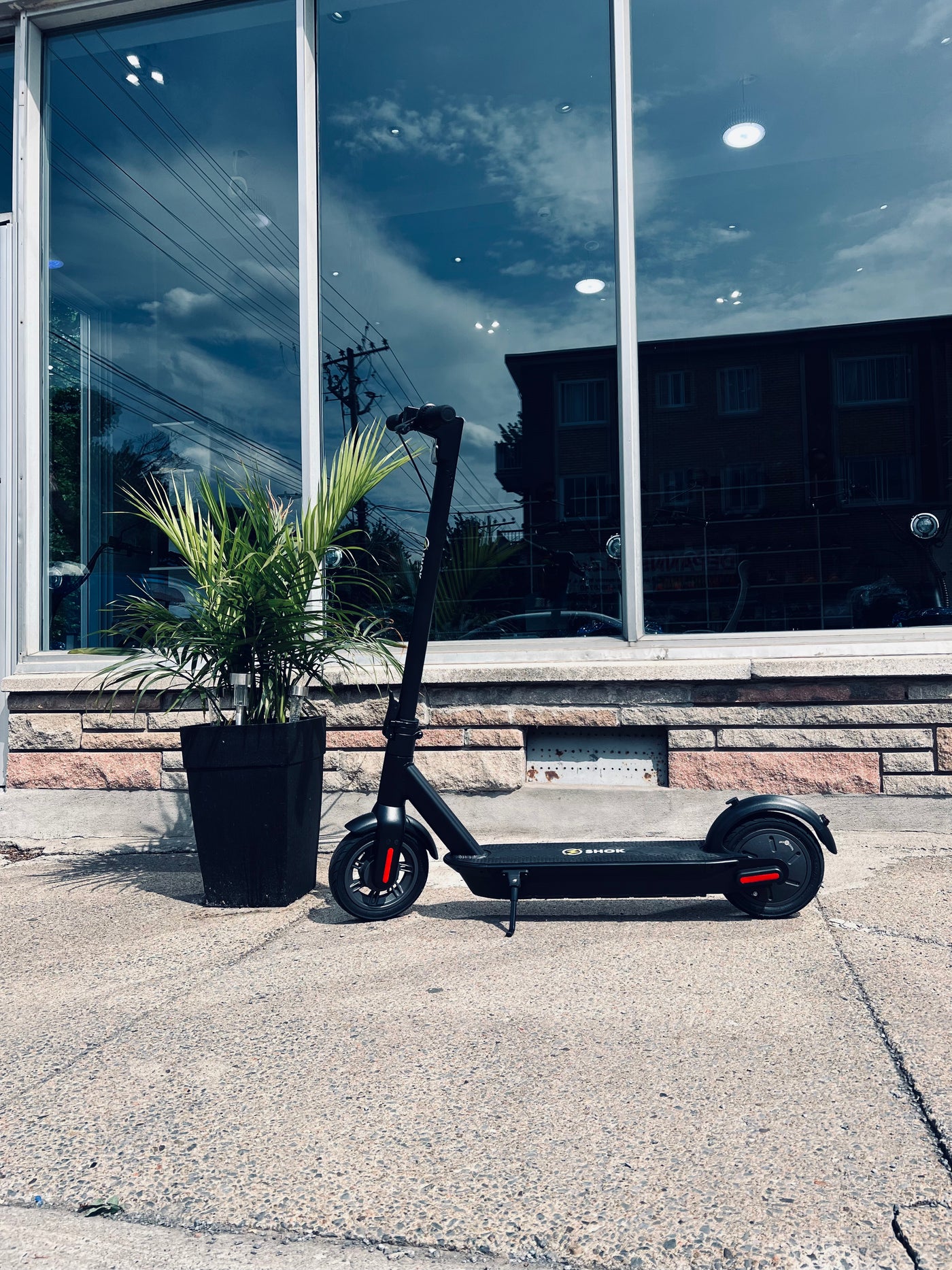 Electric Stand Up Scooter SHOK PROTON SCOOTER 500 WATTS