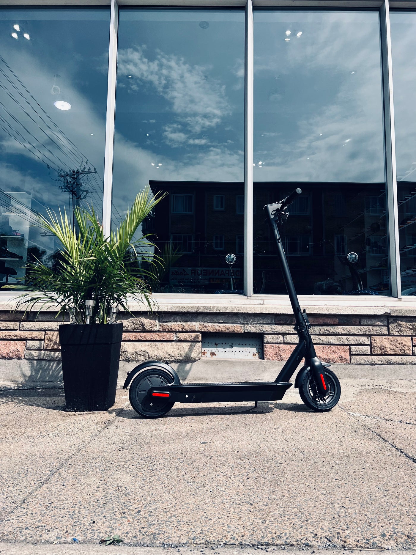 Electric Stand Up Scooter SHOK PROTON SCOOTER 500 WATTS