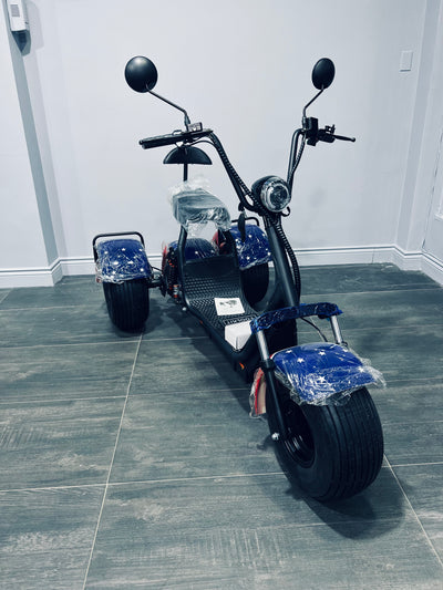 U.S.A Flag Electric Tricycle City Coco Fat Tire Scooter 3 Wheels Trike Pedicab 1000w Wide Wheel